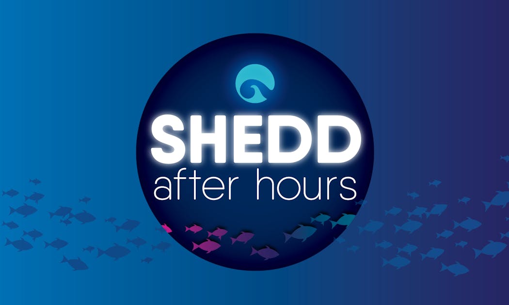 Shedd After Hours Shedd Aquarium