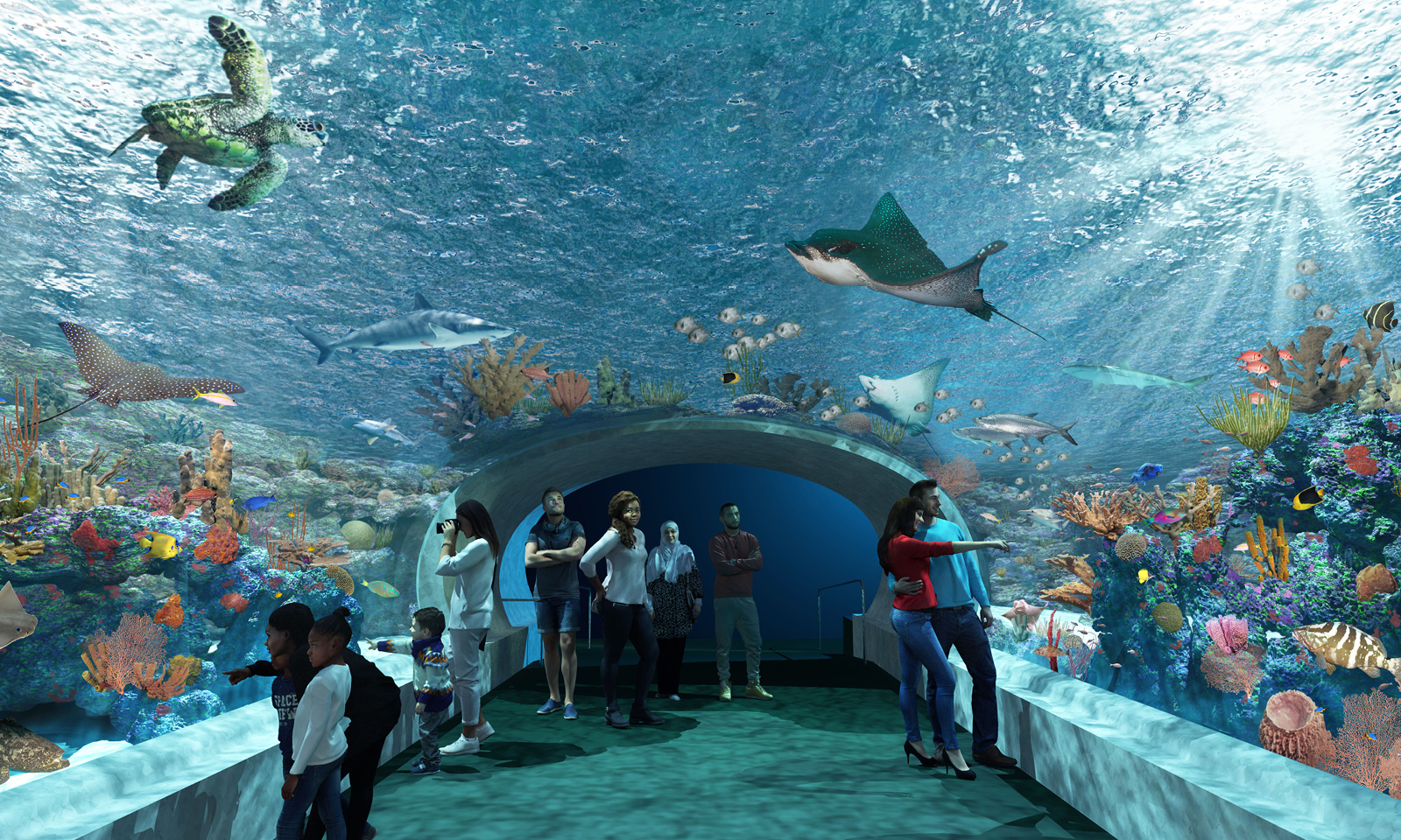 Shedd Aquarium Unveils 500 Million ‘Centennial Commitment’ Shedd