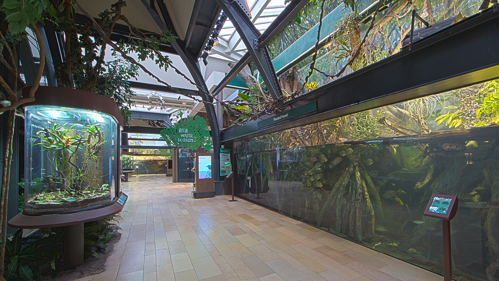 Amazon Rising Shedd Aquarium