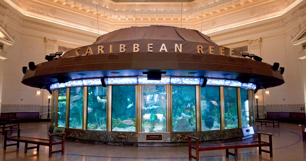 Shedd Aquarium of Chicago