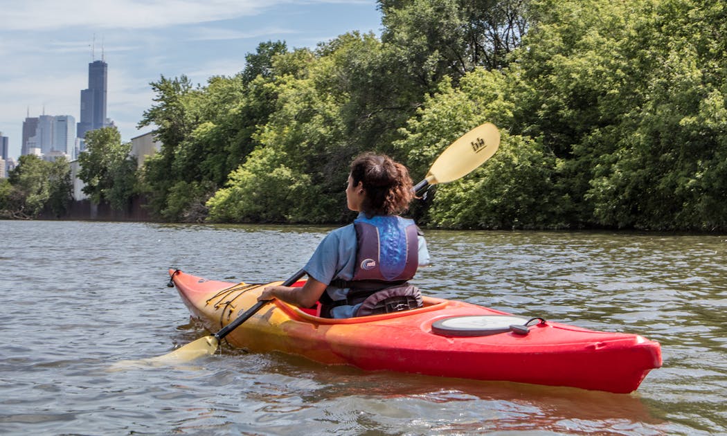 idioma lista Cereal Kayak for Conservation | Shedd Aquarium