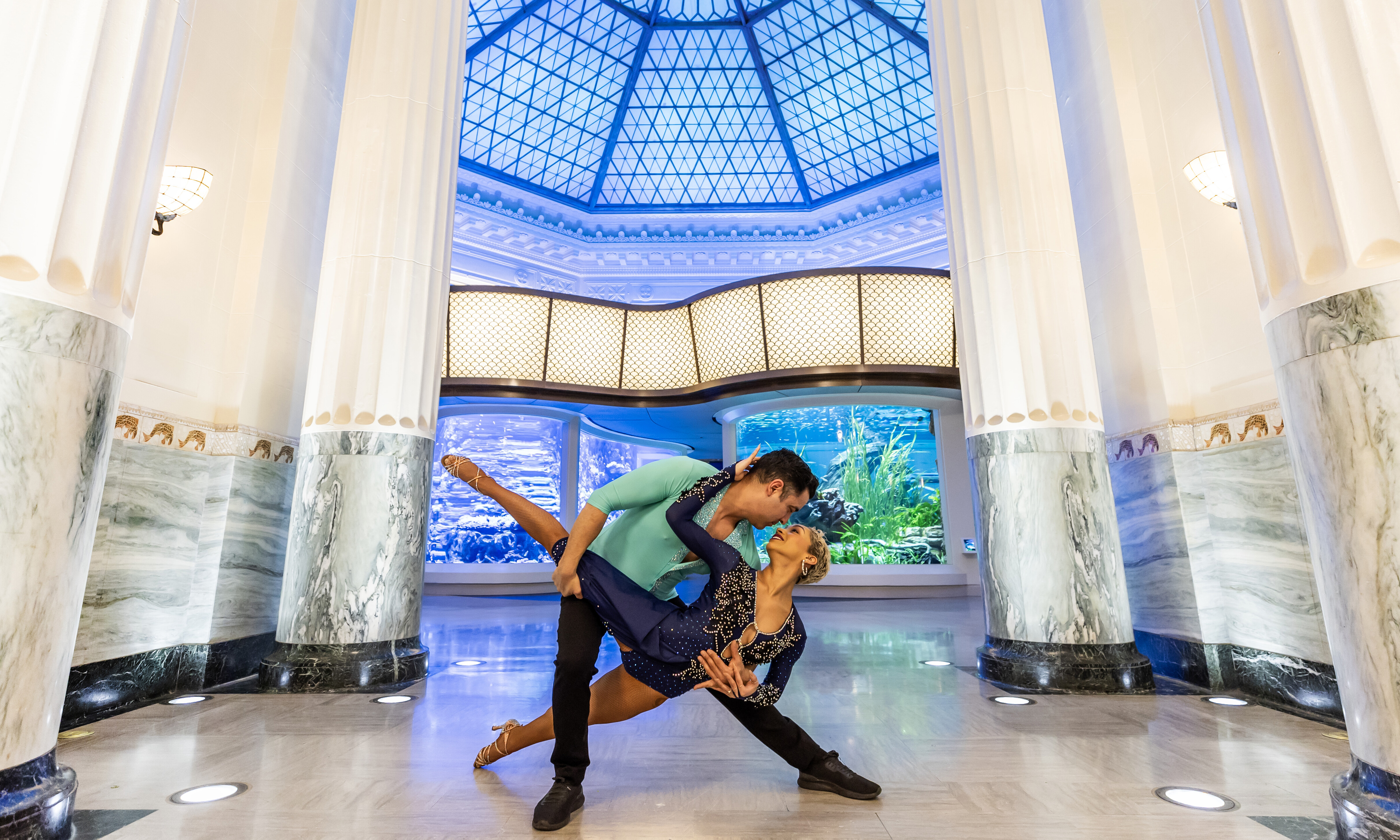 Shedd Aquarium Programs & Events in Chicago | Shedd Aquarium