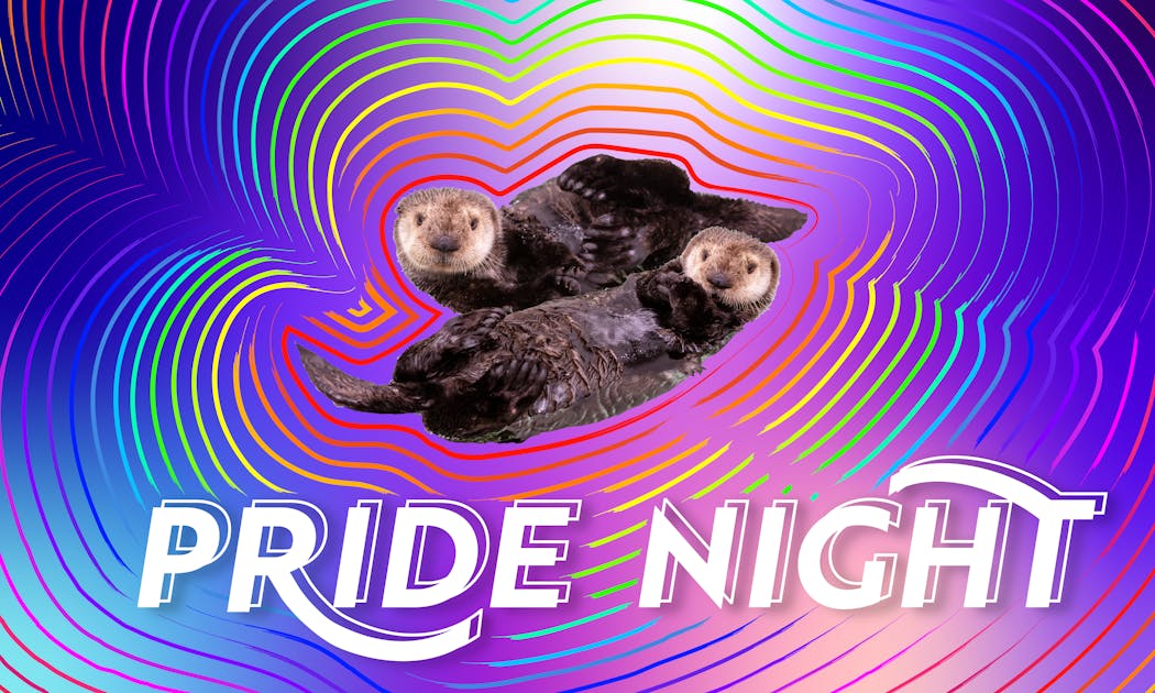 LGBTQ+ Pride Night 