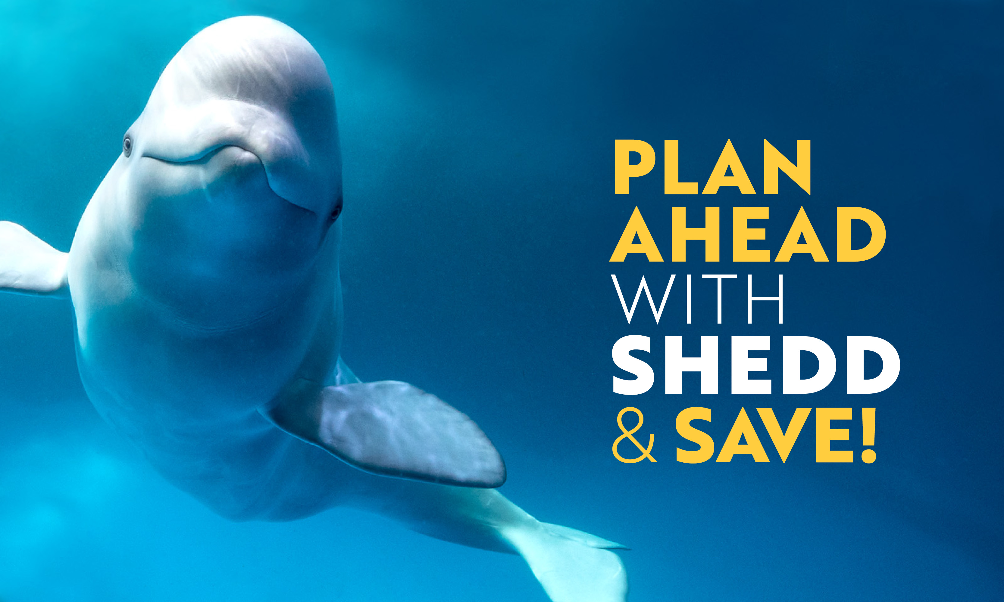 Plan ahead with Shedd Shedd Aquarium