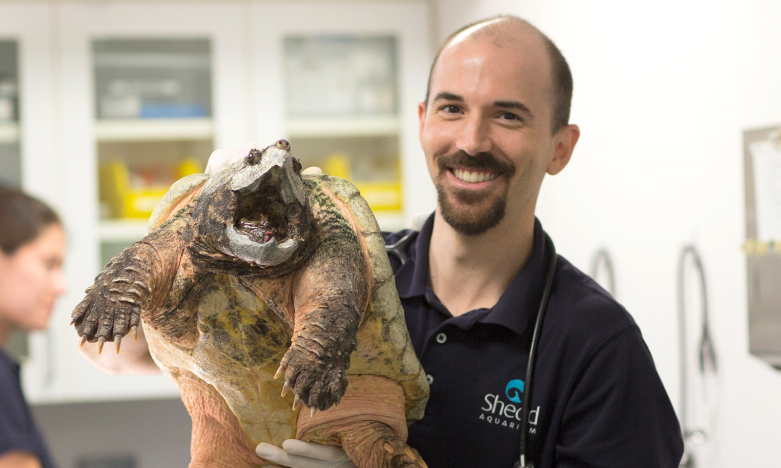 The Making of an Aquarium Vet Shedd Aquarium
